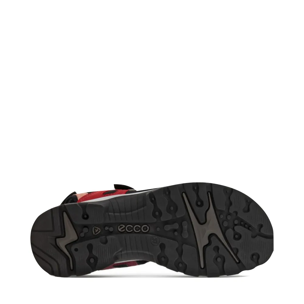 Ecco Women's Off Road Yucatan Anniversary Edition Sandal in Multicolor Sage