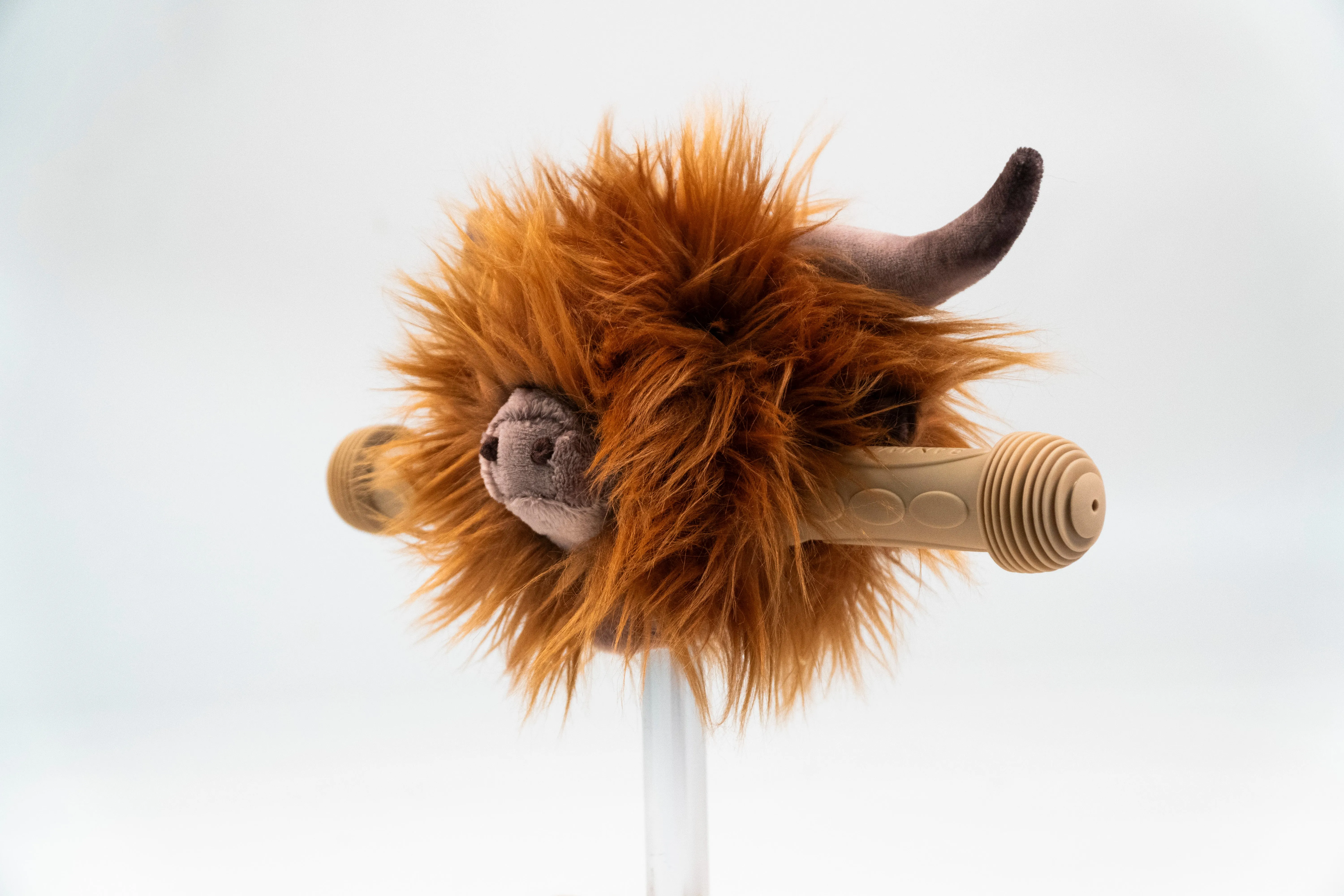 Highland cow Scooter Head