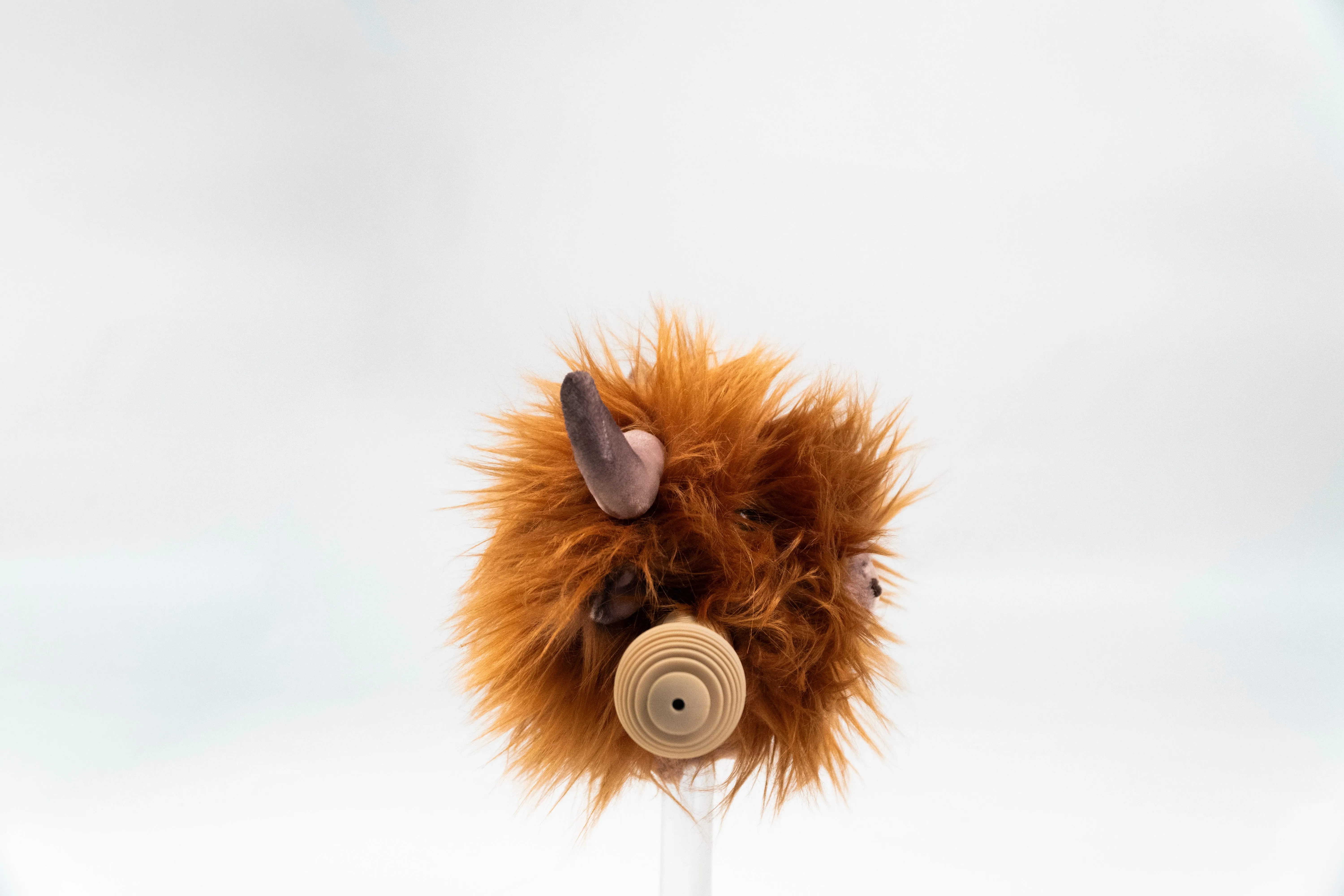 Highland cow Scooter Head