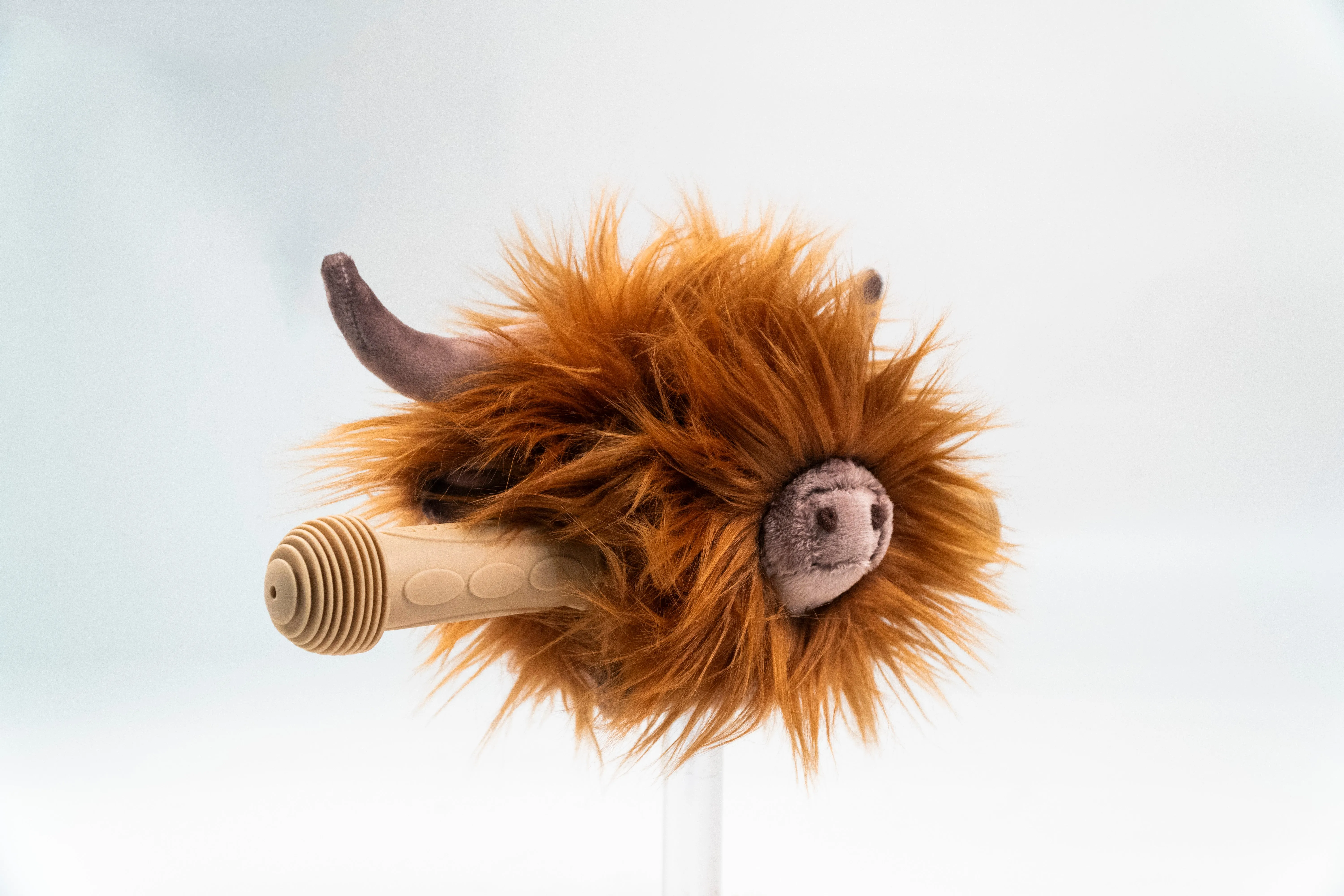 Highland cow Scooter Head