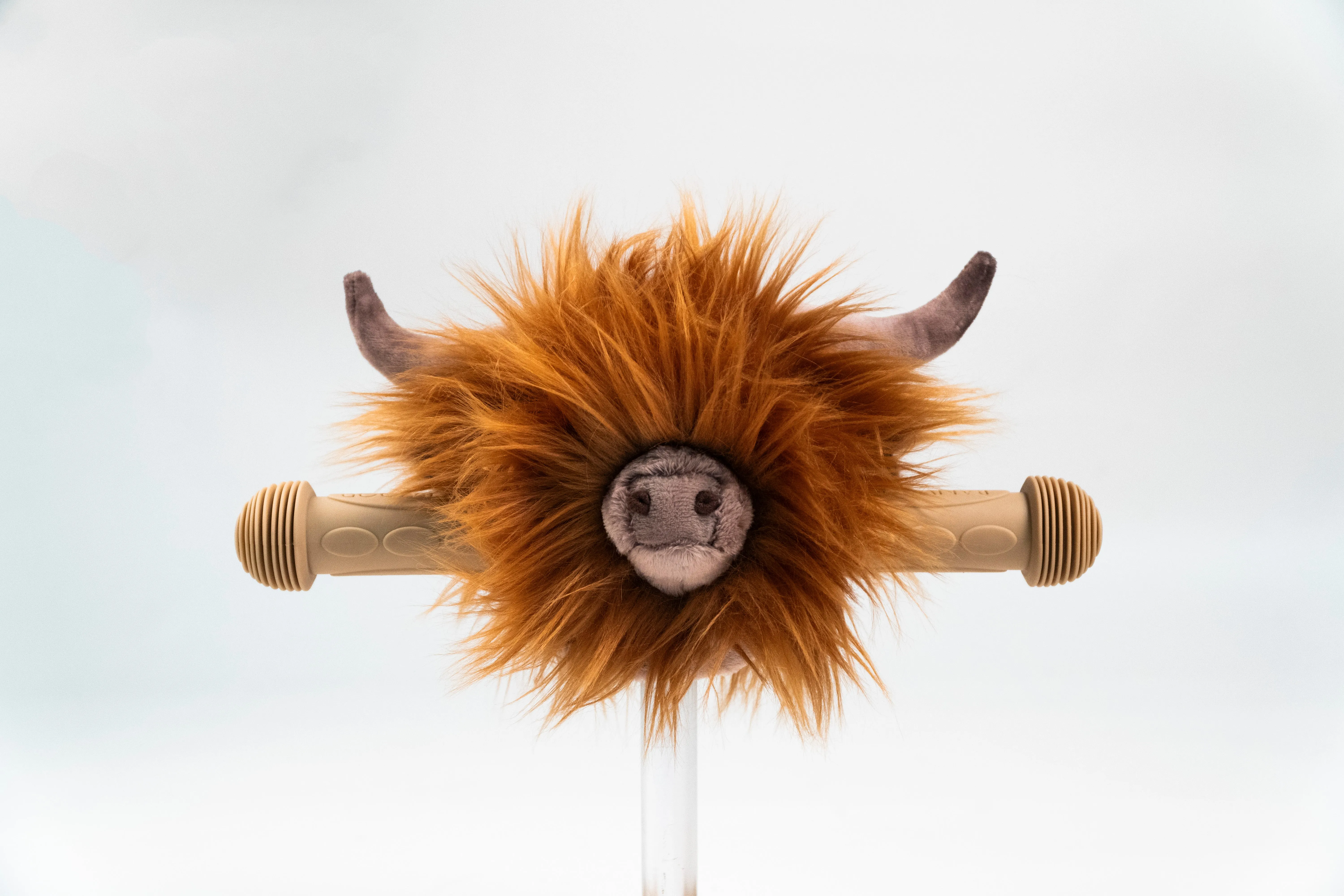 Highland cow Scooter Head