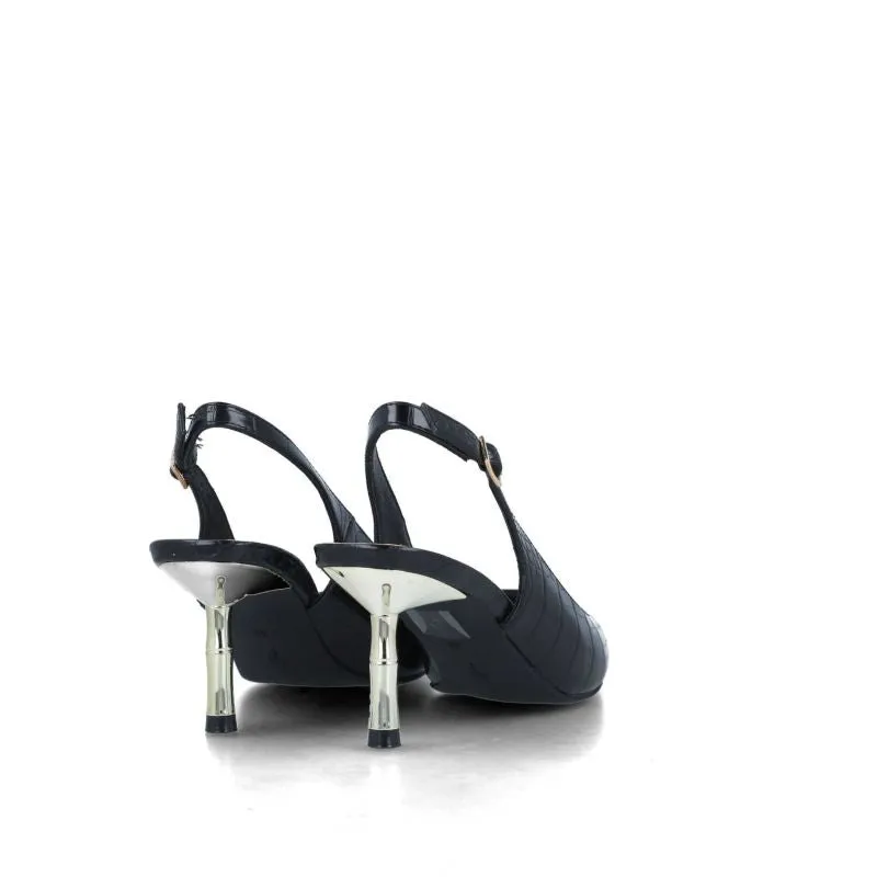 LACERTA-23906